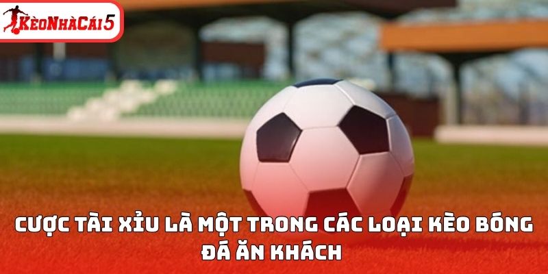 Cược tài xỉu là một trong các loại kèo bóng đá ăn khách