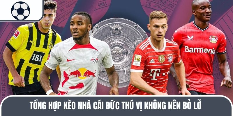 Tổng hợp kèo nhà cái Đức thú vị không nên bỏ lỡ